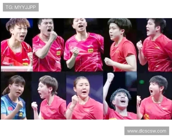 2024巴黎奥运会中国女排12人名单公布，明星球员再度出征挑战世界之巅